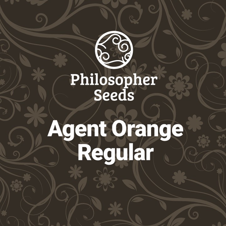 Agent Orange Regular by Philosopher Seeds