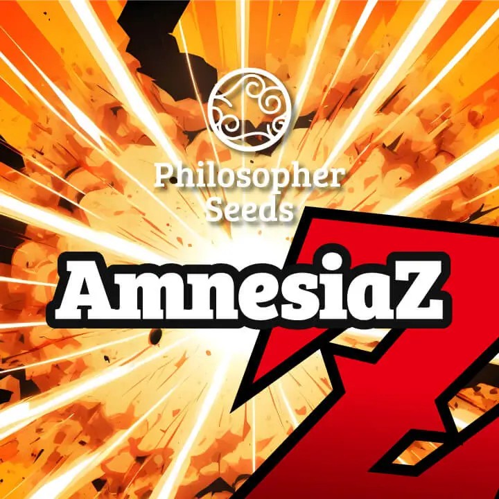 AmnesiaZ Feminized by Philosopher Seeds