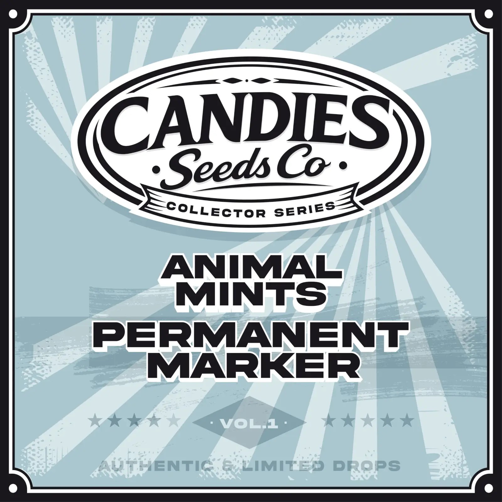 Animal Mints x Permanent Marker Feminized by Candies Seed Co