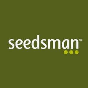 Auto CBDV 1:1 Autoflower by Seedsman