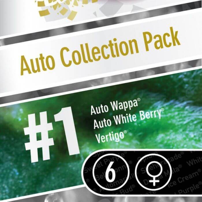 Auto Collection Pack #1 Autoflower by Paradise Seeds