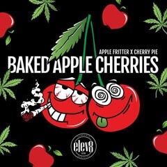 Baked Apple Cherries Feminized by Elev8 Seeds