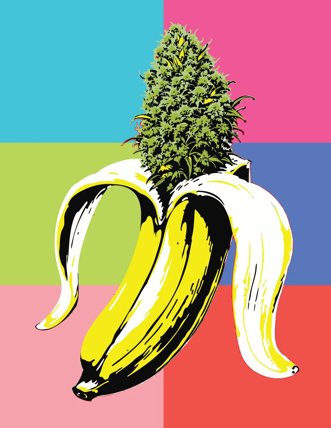 Banana OG Auto Autoflower by Humboldt Seed Company