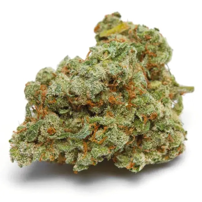 Banana Sherbert Double XL Auto Autoflower by Growers Choice