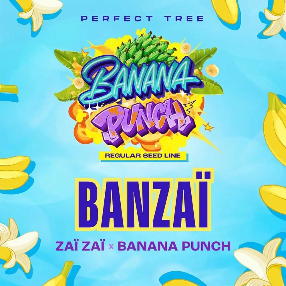 Banzaï Regular by Perfect Tree
