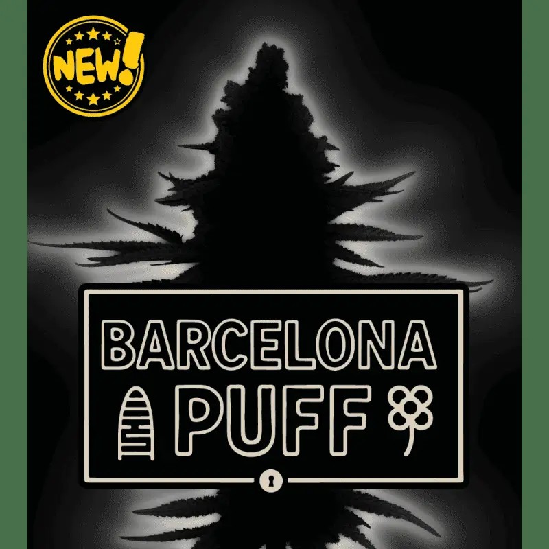Barcelona Puff Feminized by Seedstockers