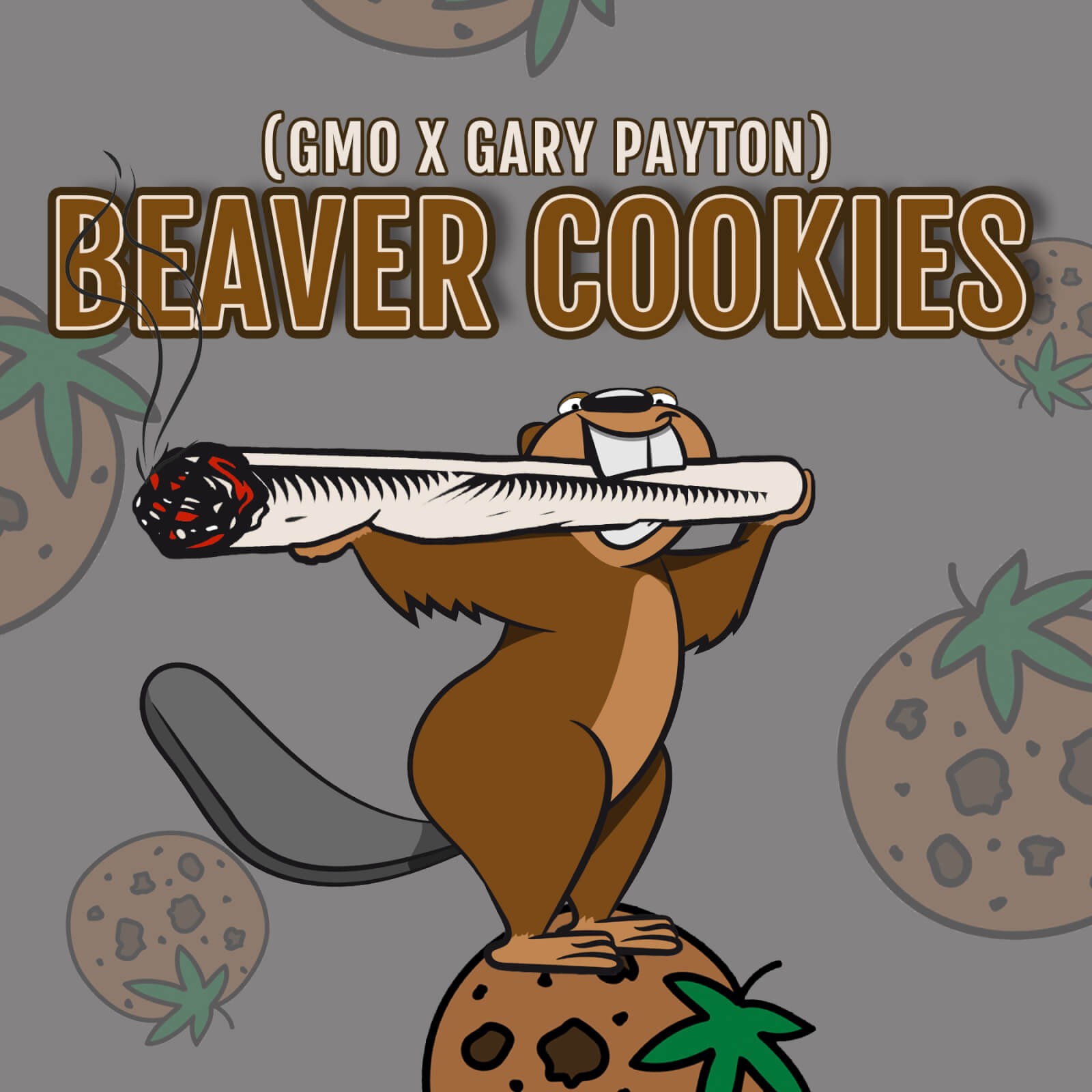 Beaver Cookies Feminized by Elev8 Seeds
