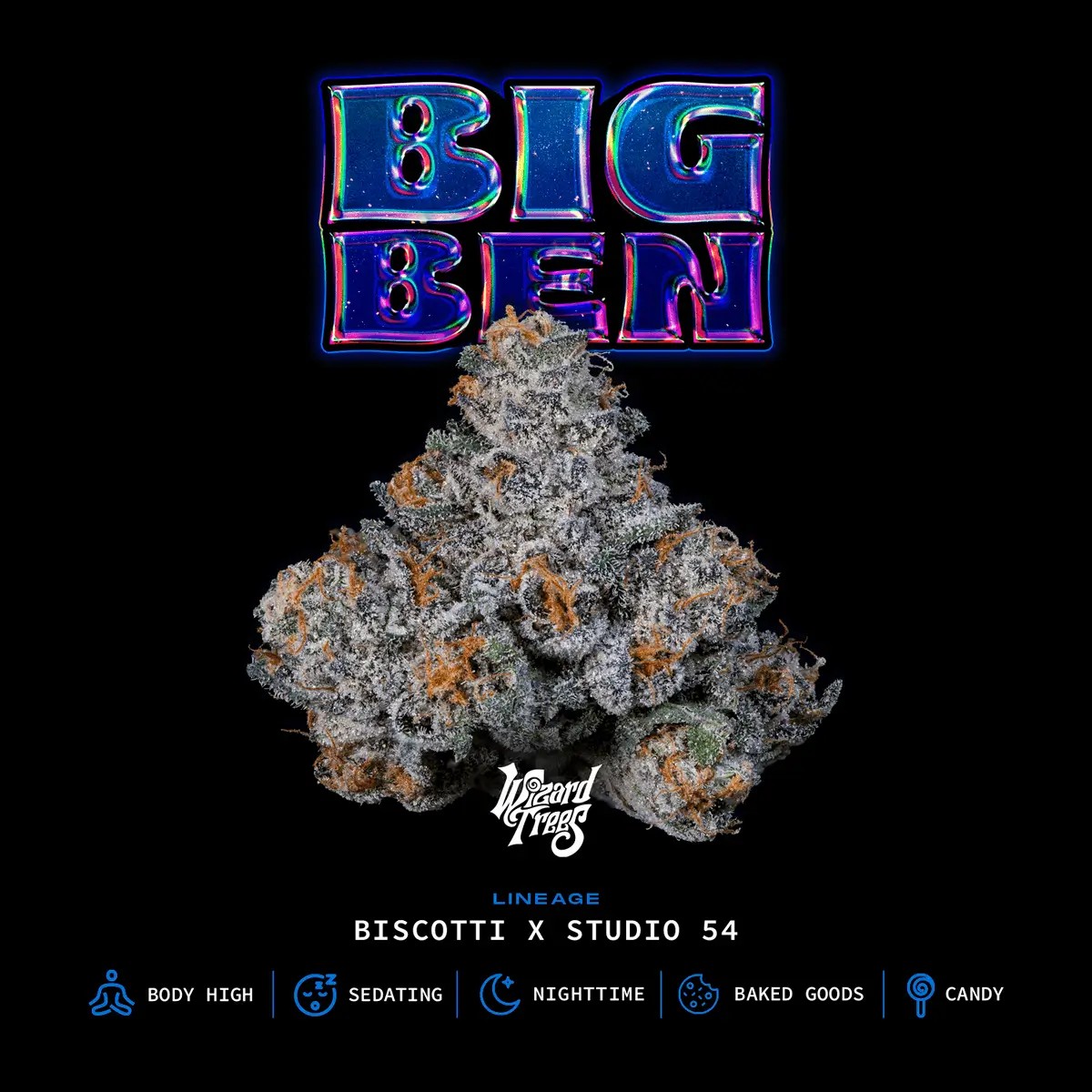 Big Ben Feminized by Wizard Trees