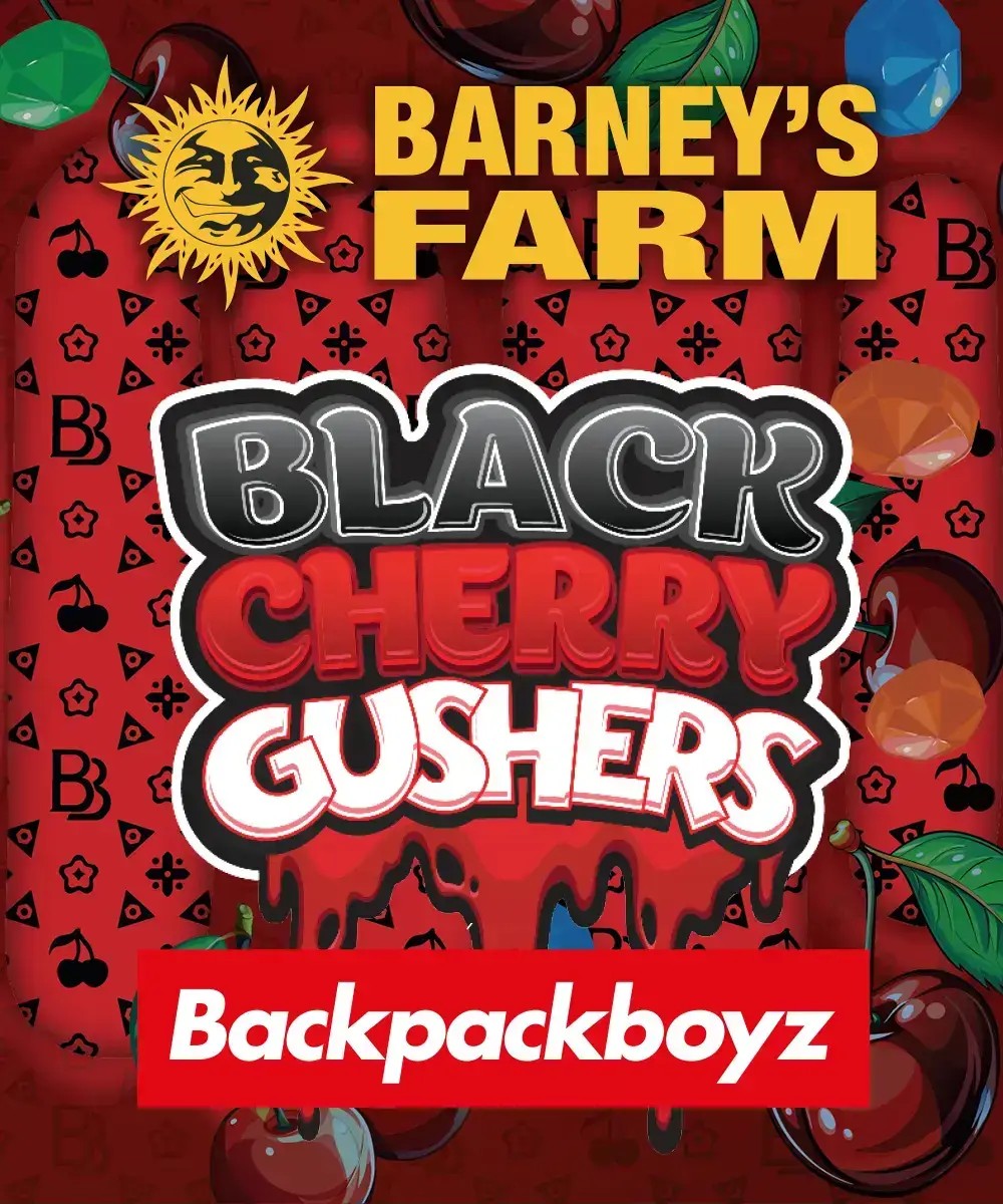Black Cherry Gushers Feminized by Barneys Farm