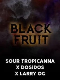 Black Fruit Feminized by Tramuntana Seeds