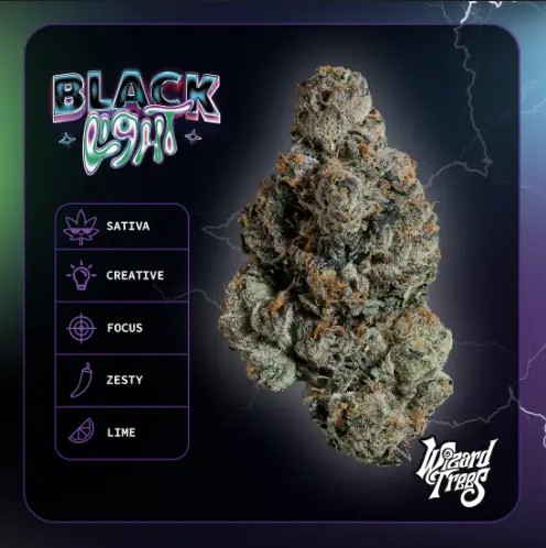 Black Light Feminized by Wizard Trees