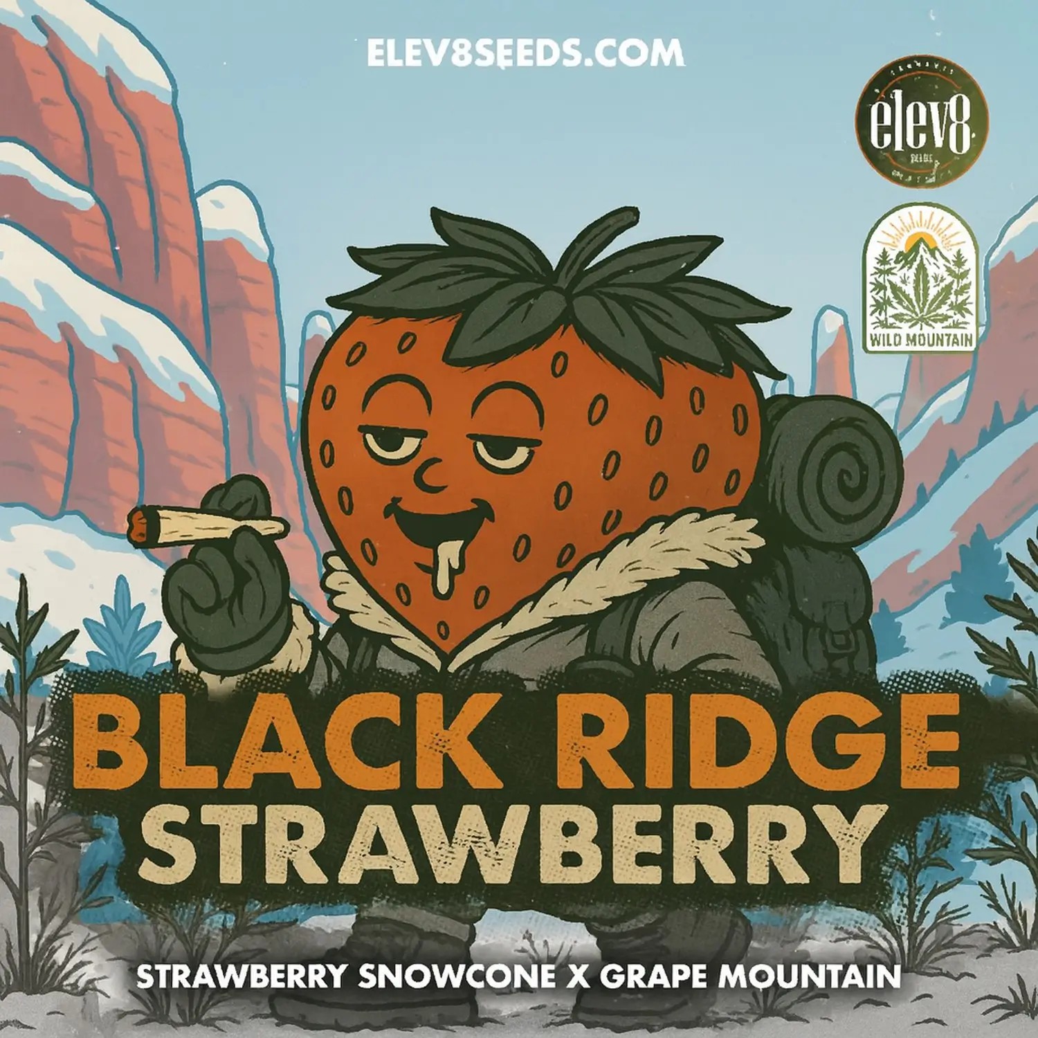 Black Ridge Strawberry Feminized by Elev8 Seeds
