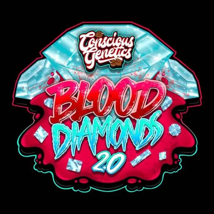 Blood Diamonds 2.0 Feminized by Conscious Genetics