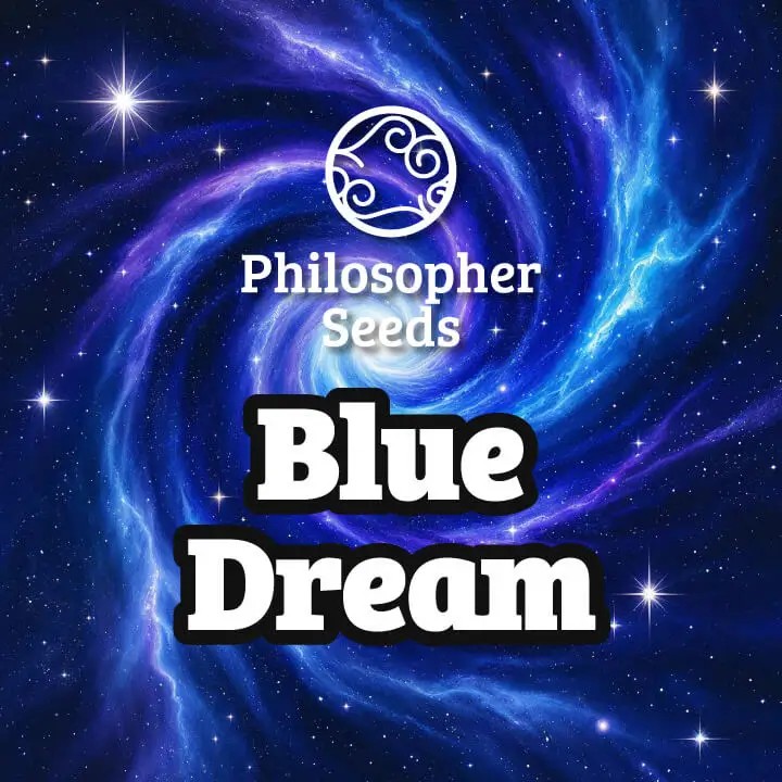 Blue Dream Feminized by Philosopher Seeds