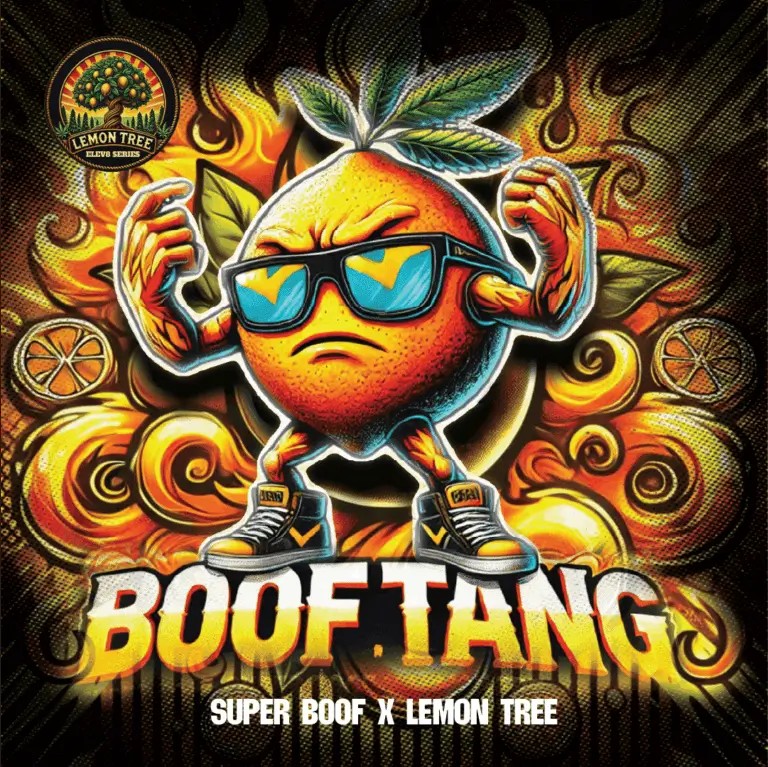 Boof Tang Feminized by Elev8 Seeds