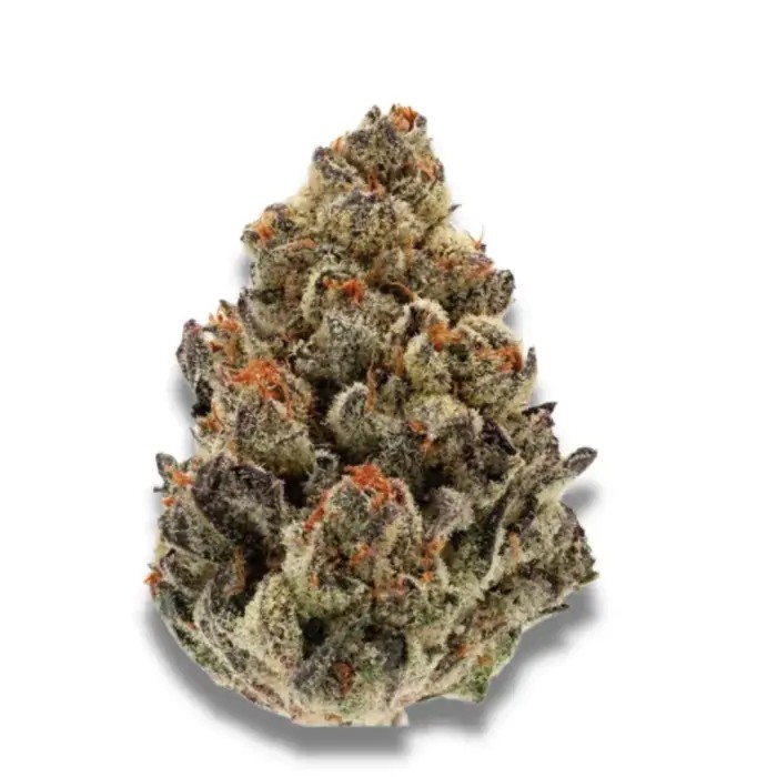 Bruce Banner III Feminized by Growers Choice