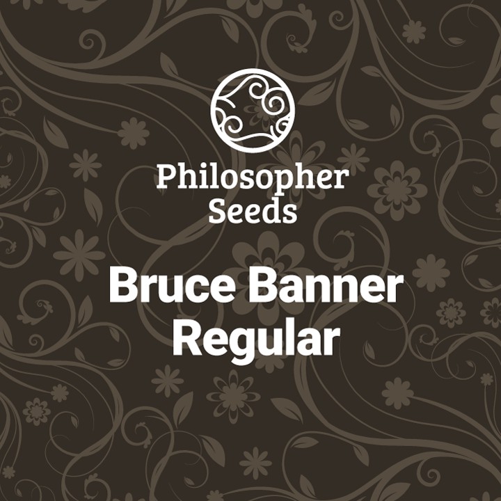 Bruce Banner Regular by Philosopher Seeds