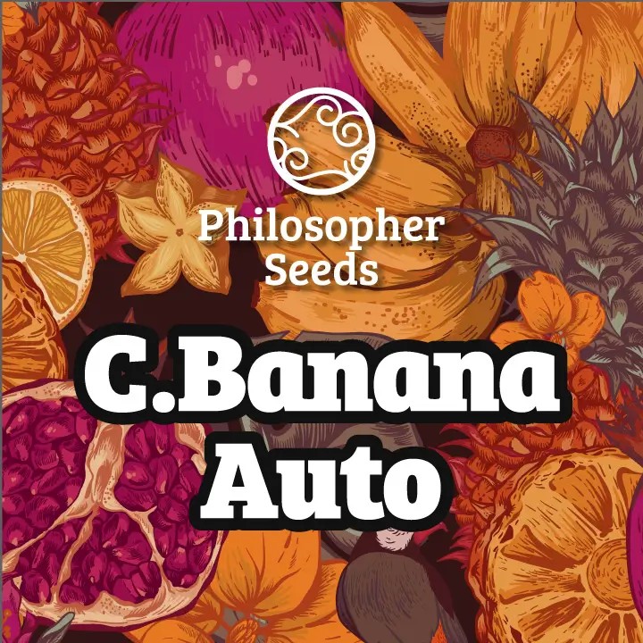 C.Banana Auto Autoflower by Philosopher Seeds