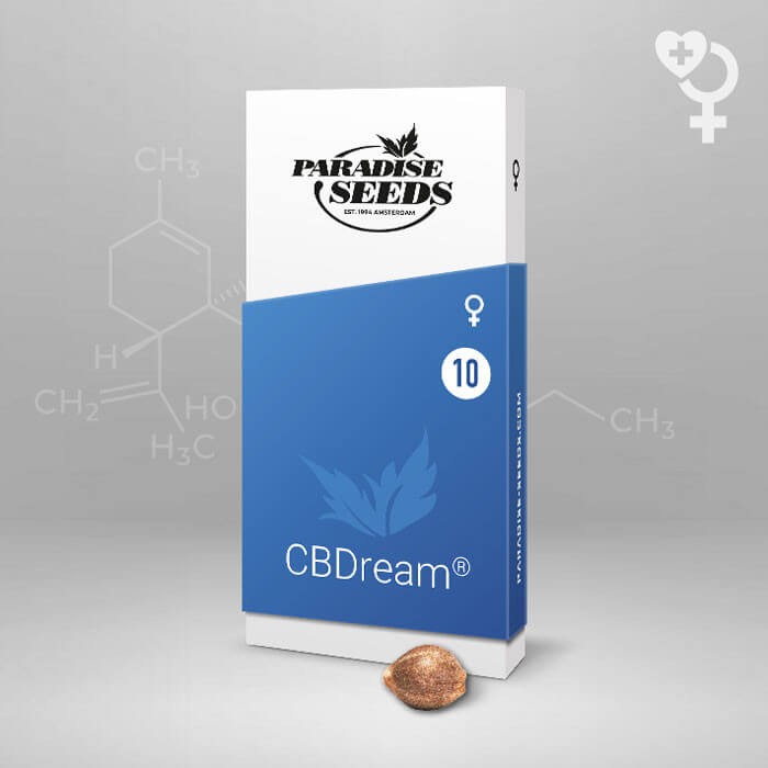 CBDream Feminized by Paradise Seeds