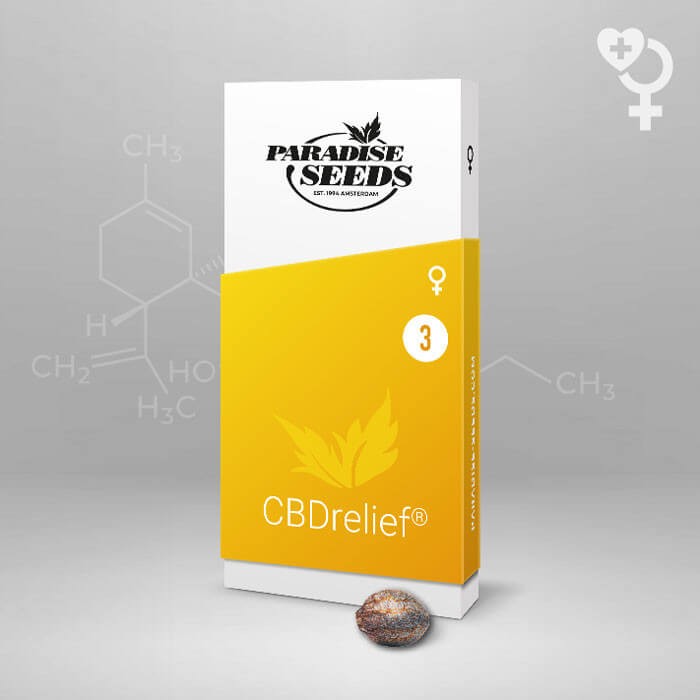 CBDrelief Feminized by Paradise Seeds