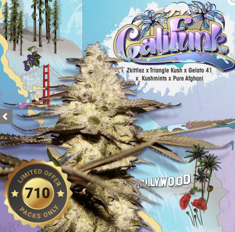 CaliFunk Feminized by T.H. Seeds