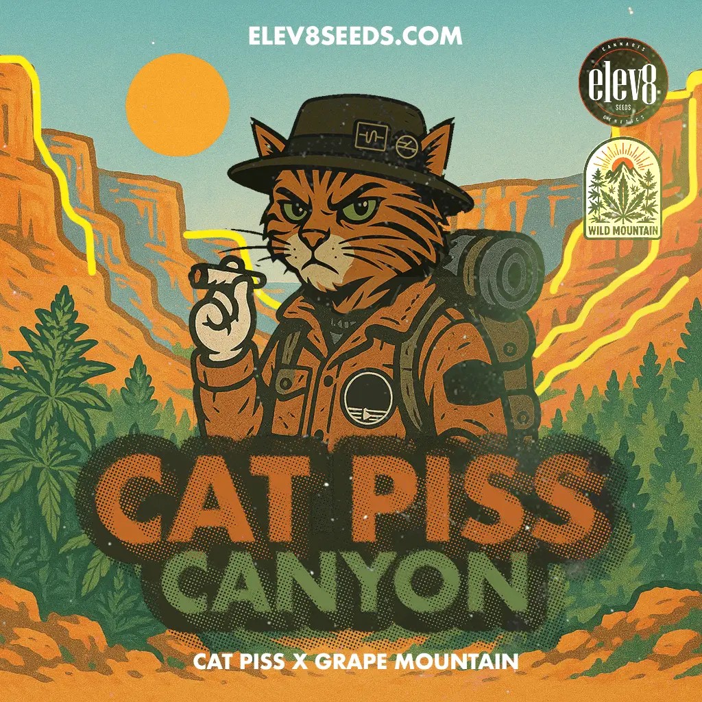 Cat Piss Canyon Feminized by Elev8 Seeds