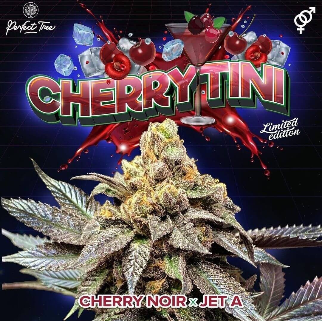 Cherrytini Regular by Perfect Tree
