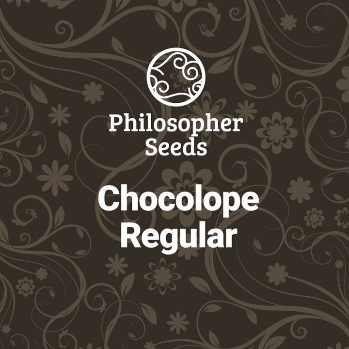 Chocolope Regular by Philosopher Seeds