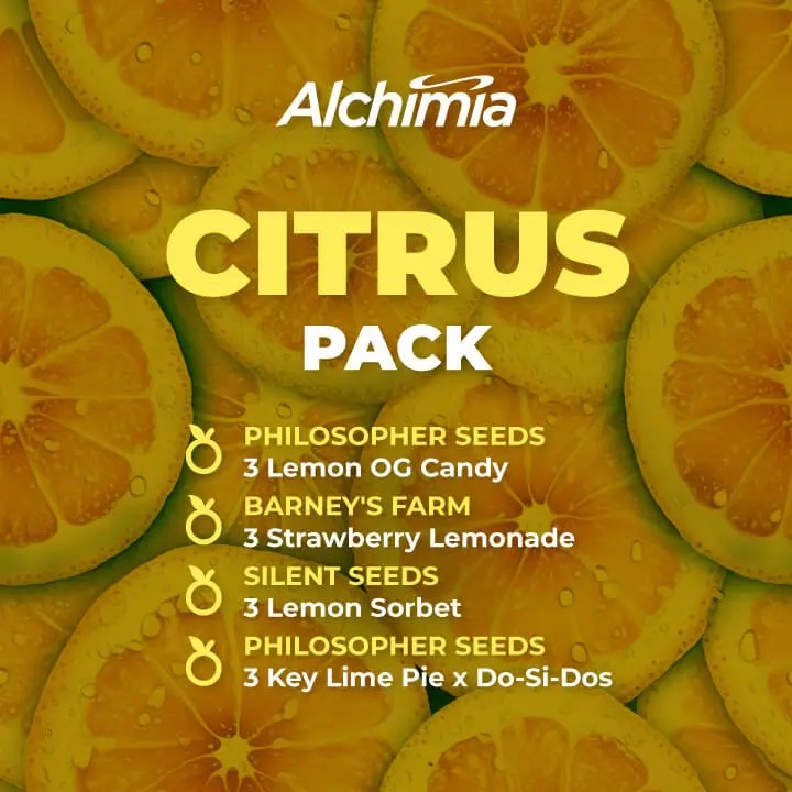 Citrus Flavor Kit Feminized by Alchimia Selection Packs