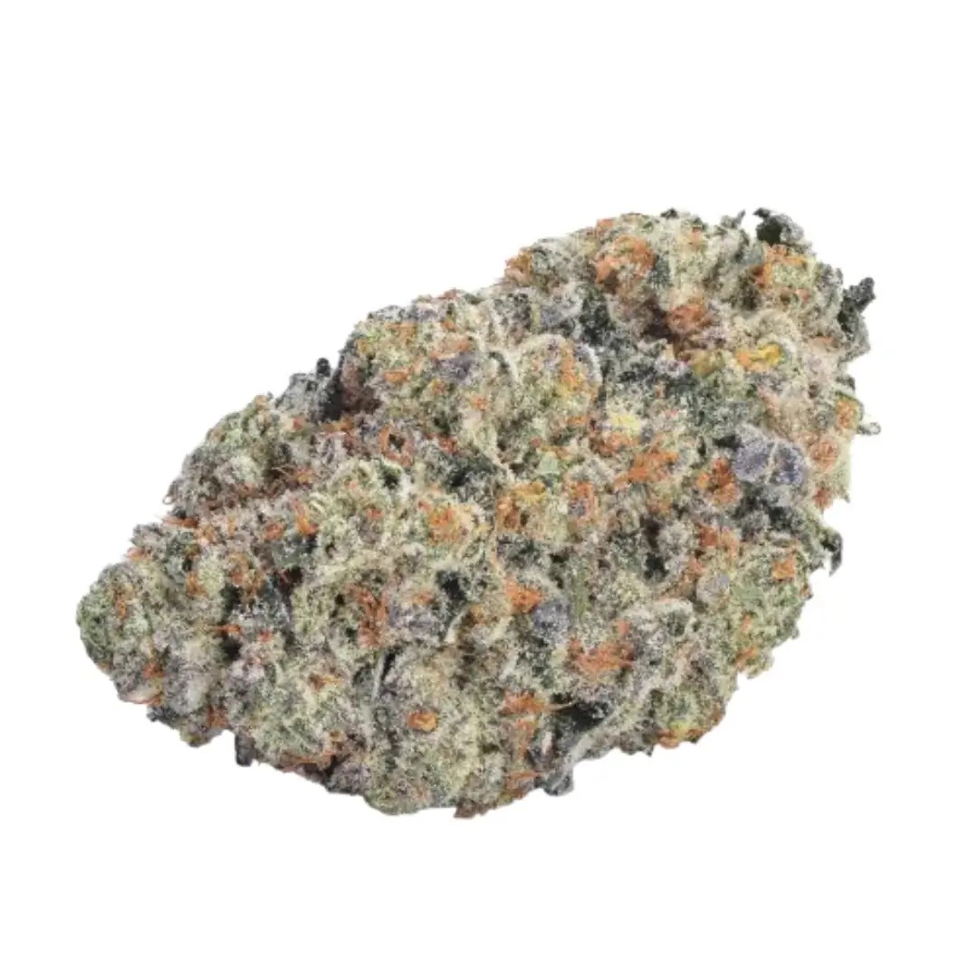 Double Donny Burger Feminized by Growers Choice