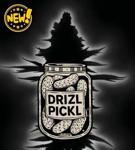 Drizl Pickl Auto Autoflower by Seedstockers