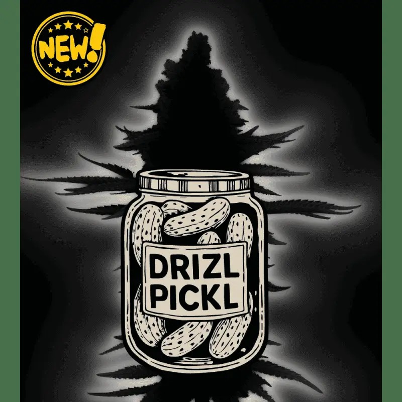 Drizl Pickl Feminized by Seedstockers