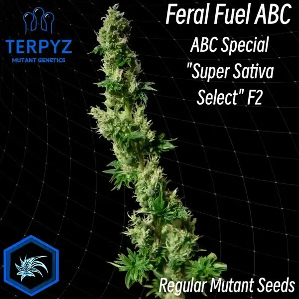 Feral Fuel Regular by TerpyZ Mutant Genetics