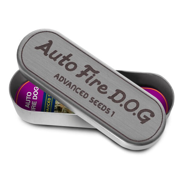 Fire Dog Auto Autoflower by Advanced Seeds