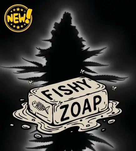 Fishy Zoap Auto Autoflower by Seedstockers