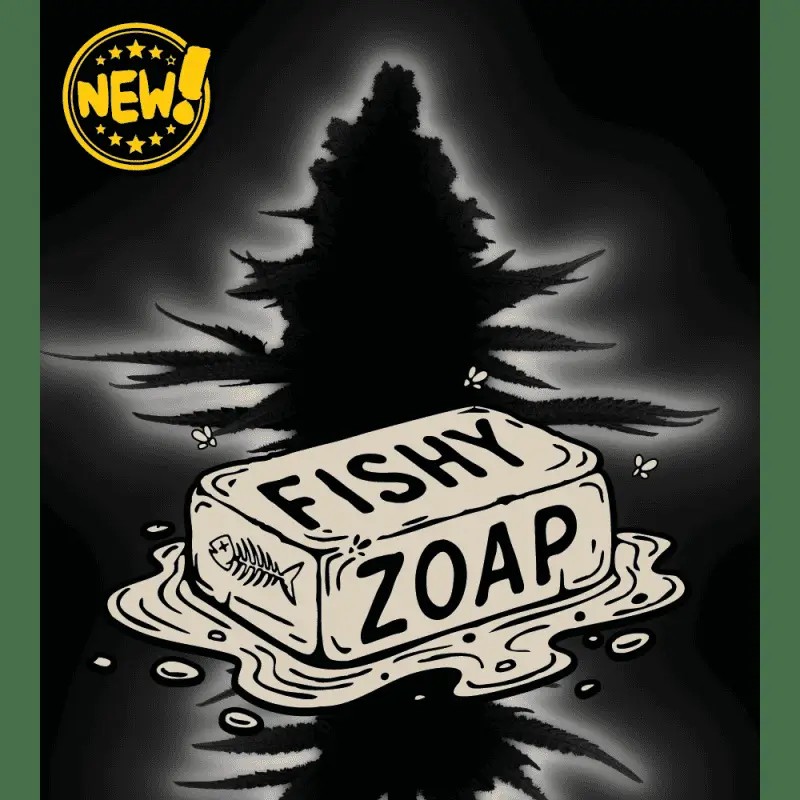 Fishy Zoap Feminized by Seedstockers