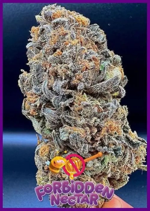 Forbidden Nectar Feminized by ZmoothieZ