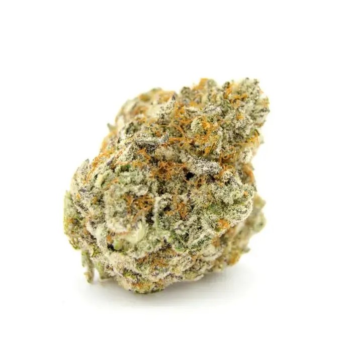 Forbidden Runtz Double XL Auto Autoflower by Growers Choice