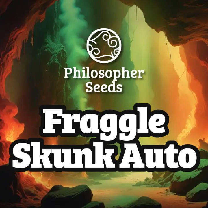 Fraggle Skunk Auto Autoflower by Philosopher Seeds