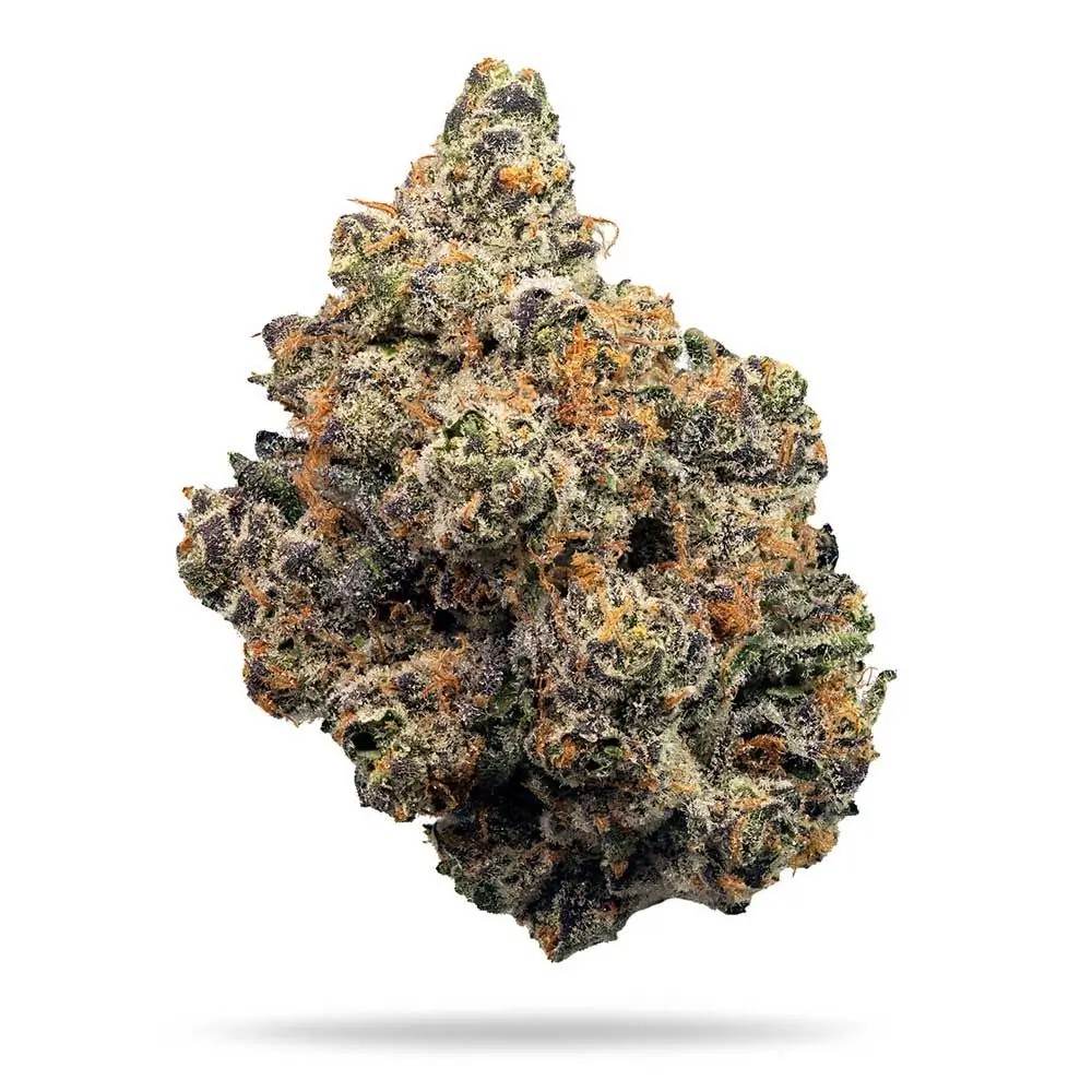 Frosted Fujis Feminized by Compound Genetics