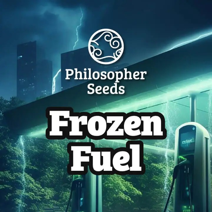 Frozen Fuel Feminized by Philosopher Seeds