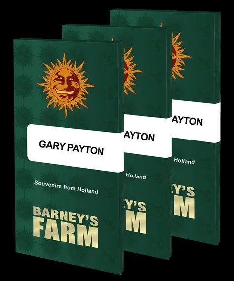 Gary Payton by Barney's Farm Feminized by Barneys Farm