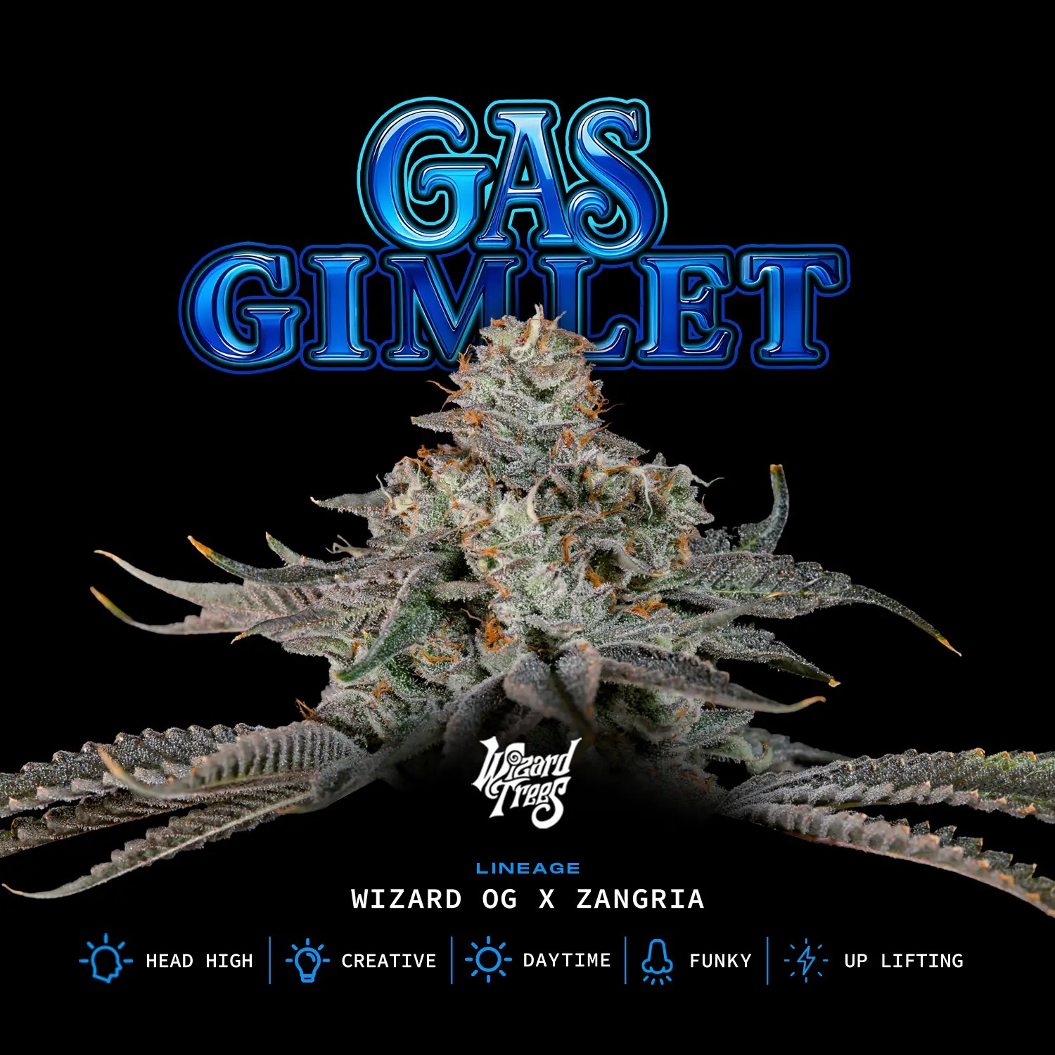 Gas Gimlet Feminized by Wizard Trees
