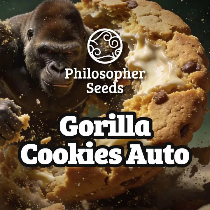 Gorilla Cookies Auto Autoflower by Philosopher Seeds