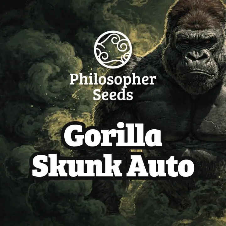 Gorilla Skunk Auto Autoflower by Philosopher Seeds