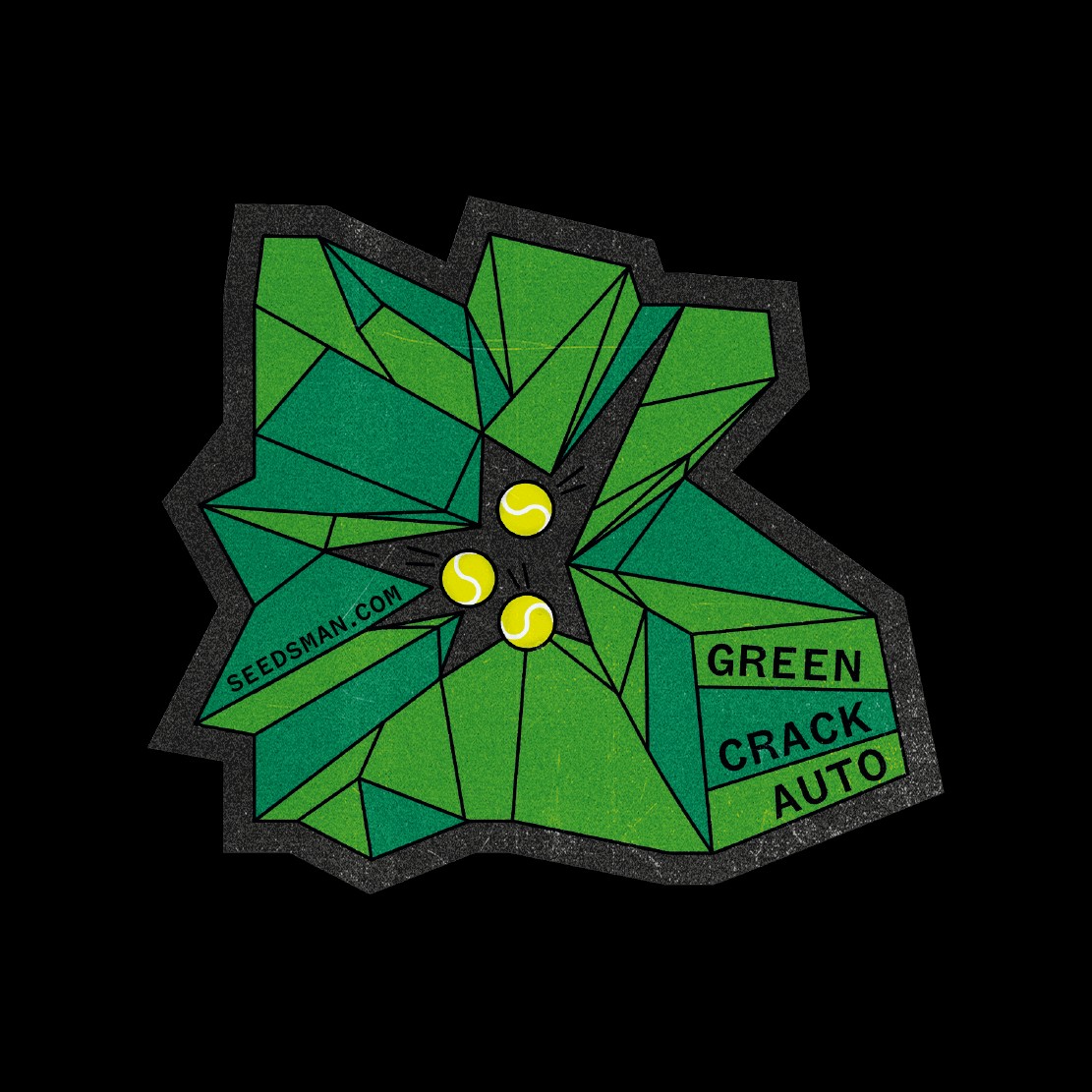 Green Crack Auto Autoflower by Seedsman