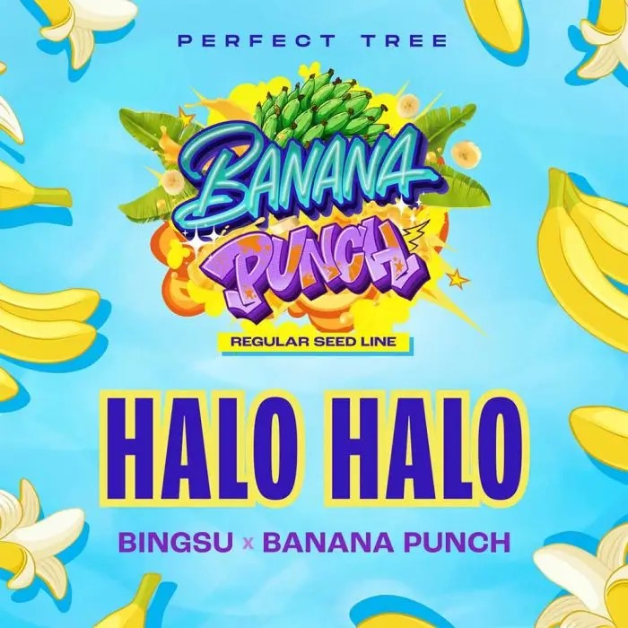 Halo Halo Regular by Perfect Tree