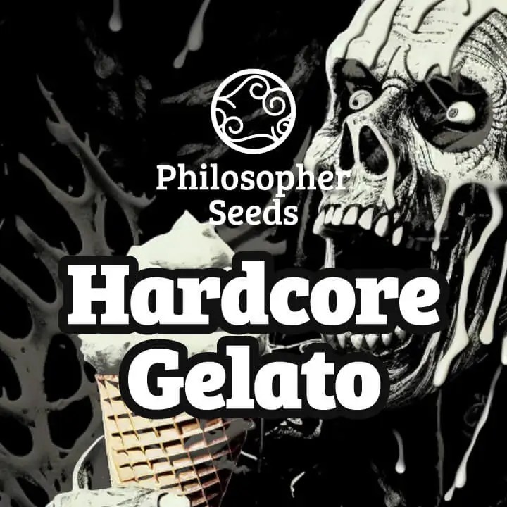 Hardcore Gelato Feminized by Philosopher Seeds