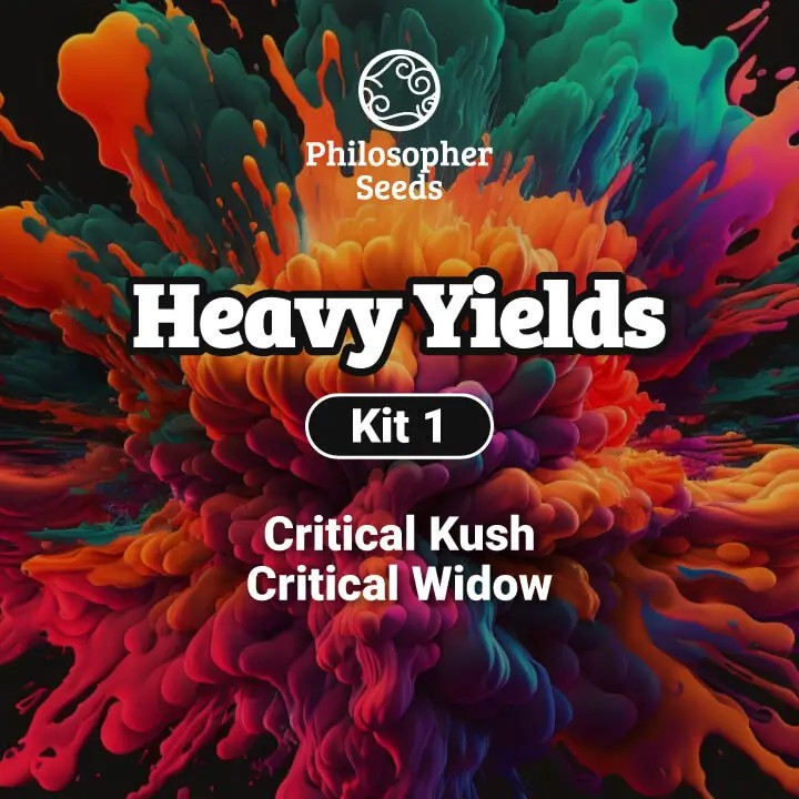 Heavy Yields Kit Feminized by Philosopher Seeds