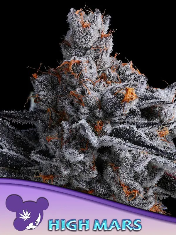 High Mars Feminized by Anesia Seeds